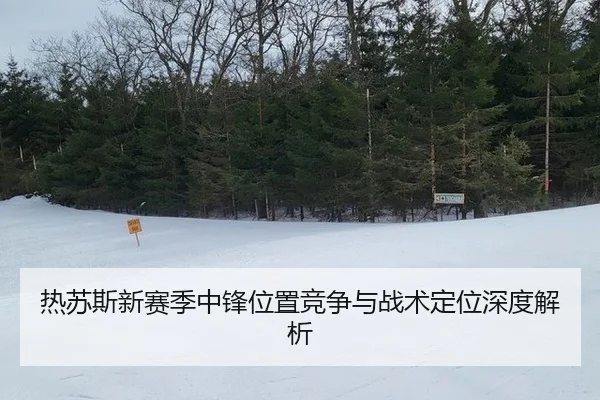 热苏斯新赛季中锋位置竞争与战术定位深度解析